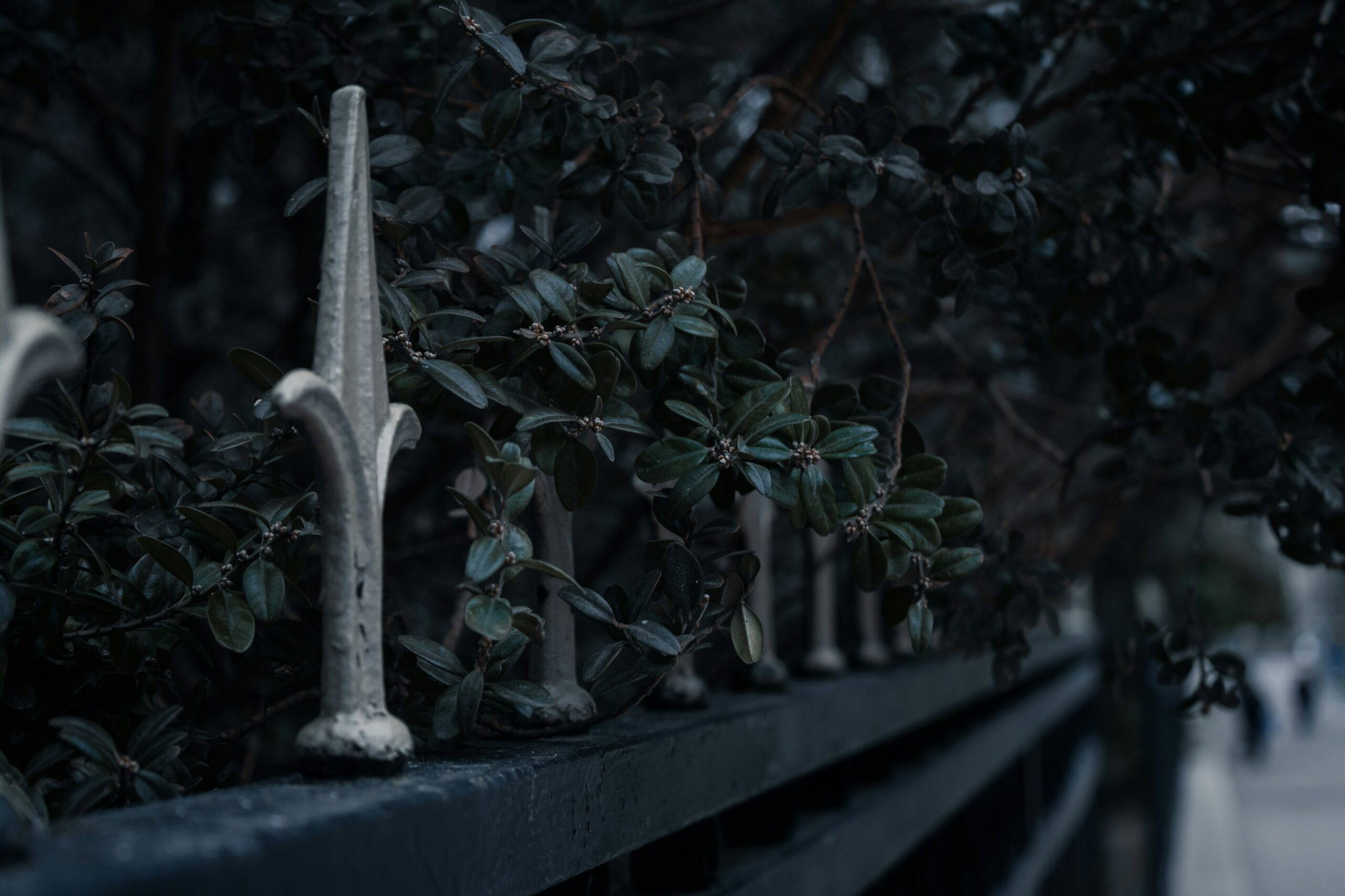 How Assassin’s Creed Reflects Cultural Conflicts Across Time