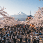 Mount Fuji Tourism Surge Challenges Fujiyoshida During Cherry Blossom Season