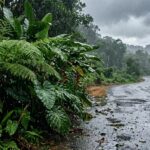 East Hawaii Sees Soaring Rainfall in Early June, Outpacing Seasonal Norms