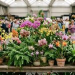 Hilo Orchid Show Celebrates 72 Years of Legends and Lore