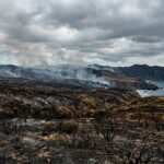 FEMA Approves Funding to Support Kawaihae Road Fire Response in Hawaii